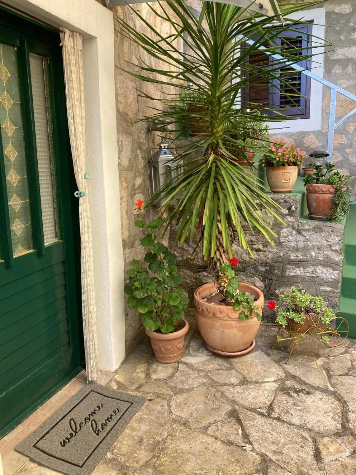 Apartments Lavandis ムルテル エクステリア 写真