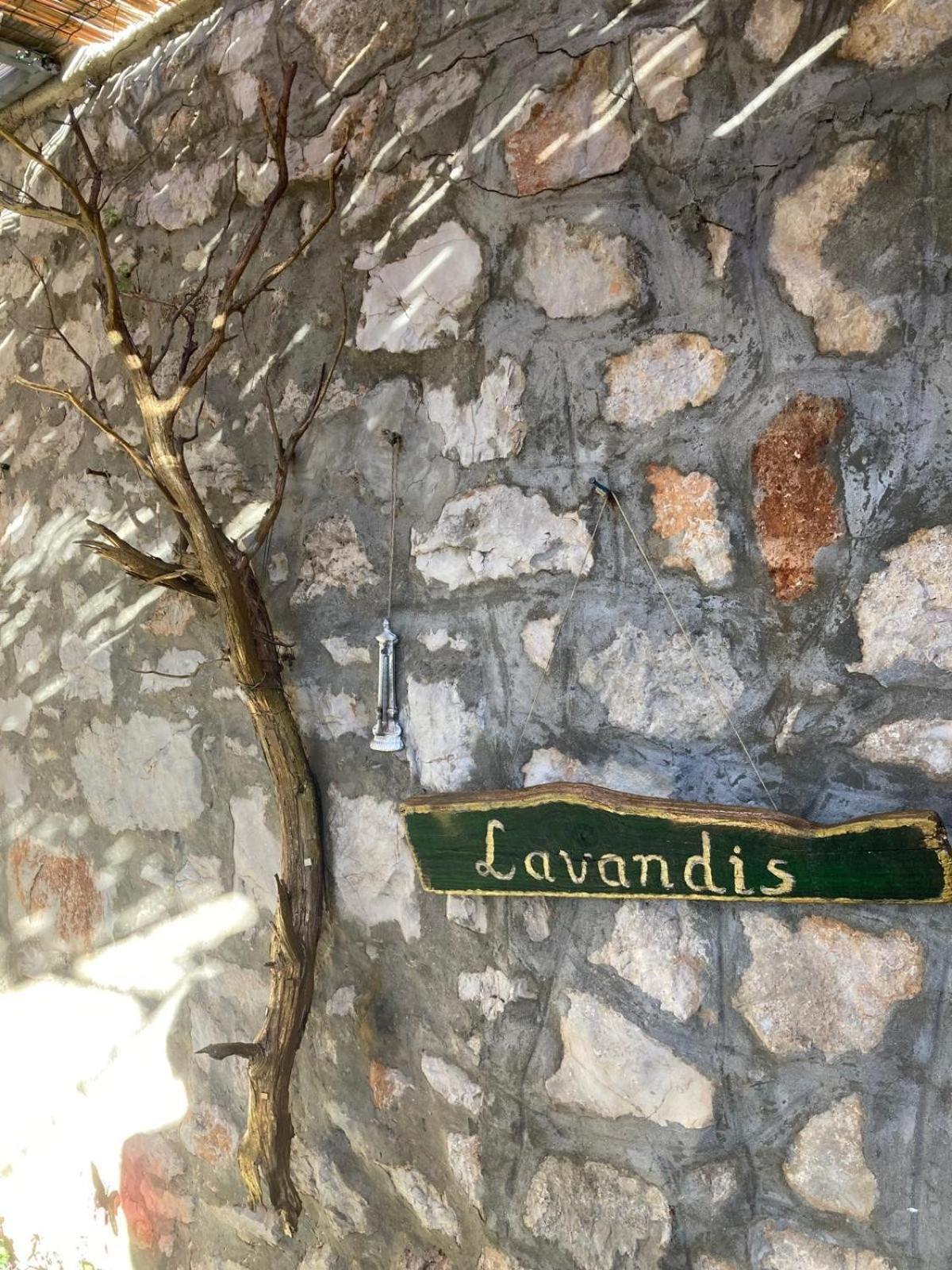 Apartments Lavandis ムルテル エクステリア 写真
